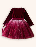 Christmas Velvet Star Tulle Dress