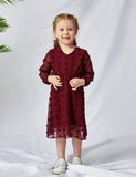 Long Sleeve V-neck Family Matching Dress - Mini Taylor