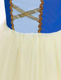 Snow White Mesh Party Dress - Mini Taylor