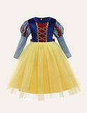 Snow White Mesh Party Dress - Mini Taylor