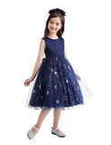 Starry Sequins Mesh Party Dress - Mini Taylor